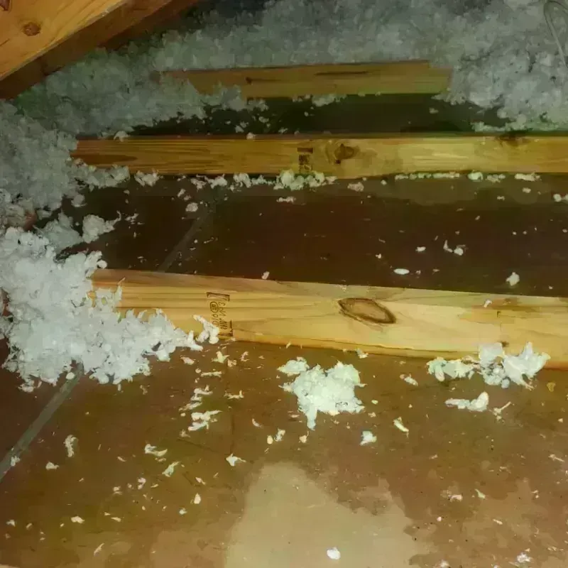 Attic Water Damage in Chelsea, VT